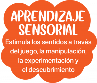 APRENDIZAJE SENSORIAL