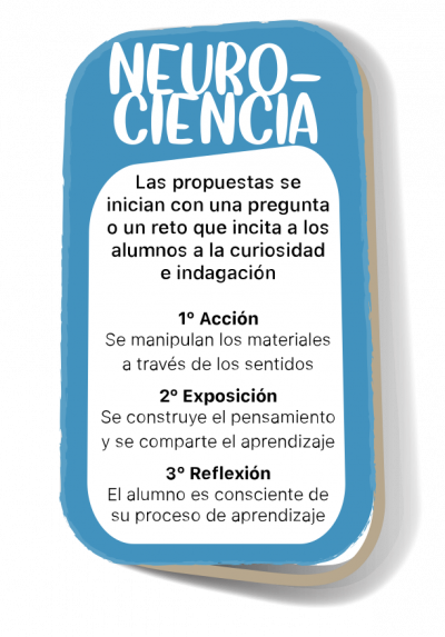 Esquema Neurociencia BALU
